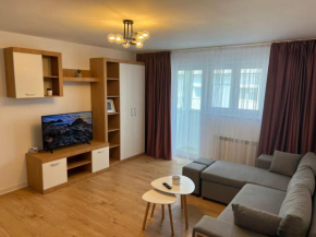 Sunny Apartment in Suceava